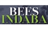 Bees Indaba - Hochfeldstreek Bonsmaras